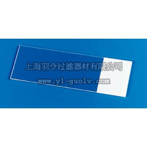 thermo fisher,赛默飞世尔,T_701125443,载玻片 FF MCRO SL3X1IN FRST 1-SDE144