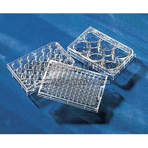 thermo fisher,赛默飞世尔,T_3013471,12孔 Transwell聚酯透明膜嵌套 PLT,6WL,FB,ULA,IND,W/LID,S,1/24