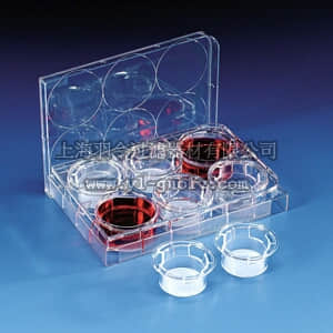 thermo fisher,赛默飞世尔,T_3013492,HTS Transwell-96 系统 TW COL,24MM,3.0UM,PTFE,S,IND,1/24
