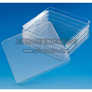 thermo fisher,赛默飞世尔,240835,Nunc Bio-Assay培养皿，标准高度 BIOASSAY DISH 245X245X20MM