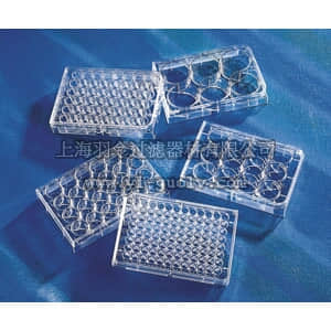 thermo fisher,赛默飞世尔,T_3013512,12孔透明平底培养板 PLT,12WL,FB,TCT,W/LID,S,BK,5/100