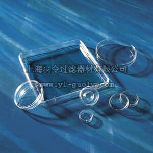 thermo fisher,赛默飞世尔,T_301430599,150 mm 细胞培养皿 DISH,150X25MM,TCT,PS,S,BK,5/60