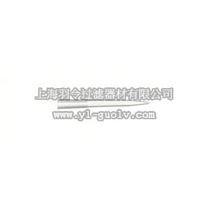 thermo fisher,赛默飞世尔,T_70102-681-422,101-1000UL X-LONG 10RK 1000/PK