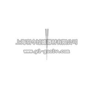 thermo fisher,赛默飞世尔,T_70102-707-84,Fisherbrand 凝胶加样吸头  0.1µL, LRS包装 0.1-10ULRD57MMX0.6MMSTR1020/PK