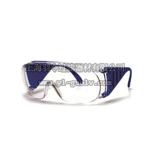 thermo fisher,赛默飞世尔,T_701191302090,Visitorspec 眼镜 FB VISITORSPC UNCTD ANSI 12/PK