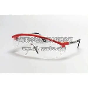 thermo fisher,赛默飞世尔,T_70119-130-2096,Siteliner 眼镜 FB SITLNR SPC BLK/F CLR/L 12PK