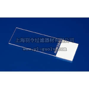 thermo fisher,赛默飞世尔,T_70112550016,CLP CORN SUPFRST 25X75X1 144PK