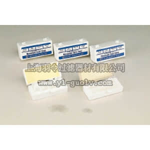 thermo fisher,赛默飞世尔,T_70122-031145,CVR GLS 15 CRCLS NO2 152/PK