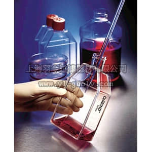 thermo fisher,赛默飞世尔,T_3013292,透气盖斜颈培养瓶 Corning(R) CellBIND(R) Surface,FLASK,175CM2,CANTED,PS,VENT CAP,S,BK,5/50