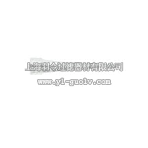 thermo fisher,赛默飞世尔,T_70102717157,10UL LOW RETEN FLTR PPT 960/PK