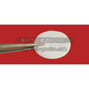 thermo fisher,赛默飞世尔,T_70109870D,Whatman 934-AH 玻璃微纤维滤纸  直径3.5cm GLS FBR FLTR PPR 3.5CM 100/PK
