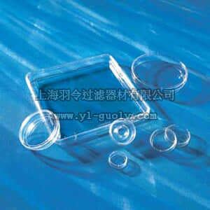 thermo fisher,赛默飞世尔,T_301430165,35 mm 细胞培养皿 DISH,35X10MM,TCT,PS,S,BK,20/500