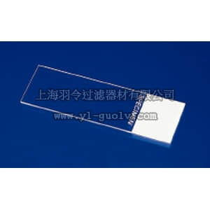 thermo fisher,赛默飞世尔,T_70122-178277,FSH SUPR FRST SLDS 3X1IN 144PK