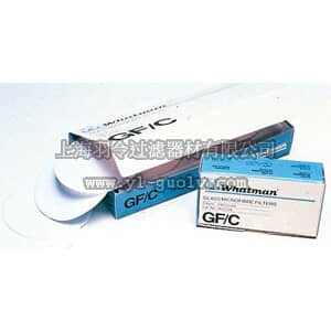 thermo fisher,赛默飞世尔,T_7010987432,Whatman 无粘合玻璃微纤维滤纸 GF/C型 直径2.4cm GLASS FBR PPR GFC 2.4CM 100/PK