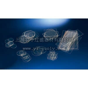 thermo fisher,赛默飞世尔,150067,ThermanoxTM盖玻片，已灭菌，外部尺寸，24*30mm 24X30MM COVERSLIP THERMANOX