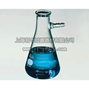 thermo fisher,赛默飞世尔,T_70110180B,Corning Pyrex 带连接口的过滤三角瓶 50mL FLASK FILTERING 50ML 6/PK