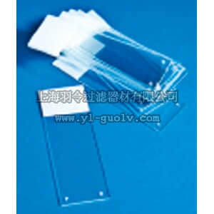 thermo fisher,赛默飞世尔,T_7011254578,SLD POLYSINE CTD 25X75 144/PK