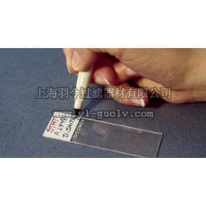 thermo fisher,赛默飞世尔,T_70114-905-35,Fisherbrand Securline 记号笔 红色 SECURL HISTOP II MKR/RED 10/PK
