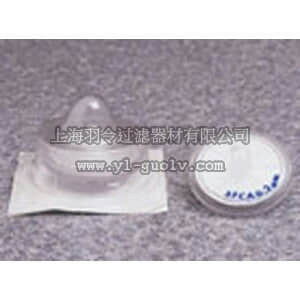 thermo fisher,赛默飞世尔,T_7010974035A,Thermo Scientific Nalgene 针头过滤器 SFCA滤膜, 孔径0.2µm, 灭菌 FILTER SYRINGE .20UM 50/CS