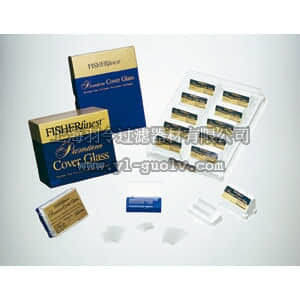 thermo fisher,赛默飞世尔,T_7011254410,盖玻片 FF COV GLASS NO1 22X22MM 4OZPK
