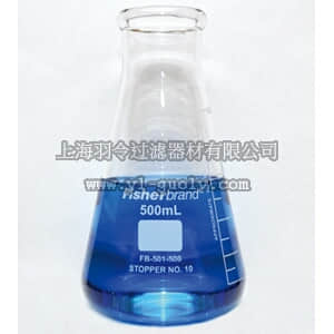thermo fisher,赛默飞世尔,T_701FB501500,FLASK ERLENM WM GLS 500ML 6/PK