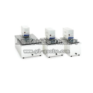 thermo fisher,赛默飞世尔,211311100,加热循环器 Isotemp 6200 H7