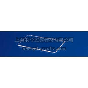 thermo fisher,赛默飞世尔,T_701125495,盖玻片 MICROSLD1MM PLN BVL 3X1IN 1GR