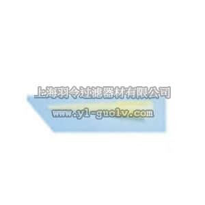 thermo fisher,赛默飞世尔,T_701S63213,GEN PRP TPS 101-1000UL 1000/PK