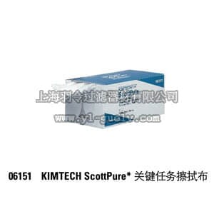 thermo fisher,赛默飞世尔,T_30506151,ScottPure*关键任务擦拭布,50张/盒 x 8 盒/箱 ScottPure* Wiper