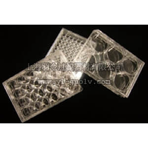 thermo fisher,赛默飞世尔,T_803310109008,LabServ 96孔细胞培养板，TC处理，聚苯乙烯，平底，无热源，无菌，1/包，100/箱 LabServ 96-well tissue culture plate, TCT, PS, flat bottom, nonpyrogenic, sterile, 1/pack, 100/case