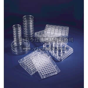 thermo fisher,赛默飞世尔,174910,12孔板；带盖；包装1/6；无菌，HydroCell表面 HydroCell 12Well Multidish - NEW!
