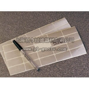 thermo fisher,赛默飞世尔,T_701033377G,Thermo Scientific Nalgene 冻存器具标签 25 × 50 mm CRYOWARE LABELS 1X2IN 200/PK