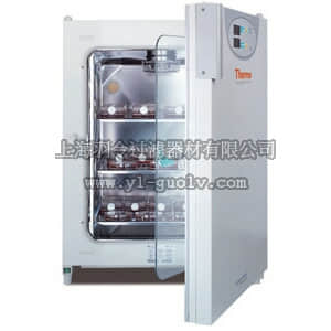 thermo fisher,赛默飞世尔,51023121,二氧化碳培养箱 BB 15 CO2 INCUBATOR 230V SS (HERAEUS)