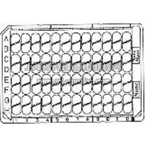 thermo fisher,赛默飞世尔,460348,Nunc板框 FRAMES ONLY FOR IMMUNO MODULE