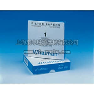 thermo fisher,赛默飞世尔,T_70109805E,Whatman 定性等级圆形或单张滤纸，等级1 直径11cm FLTR PPR GR1 11CM 100/PK