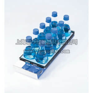 thermo fisher,赛默飞世尔,T_2072930525,多点加热磁力搅拌器(10点) RT 10 Power