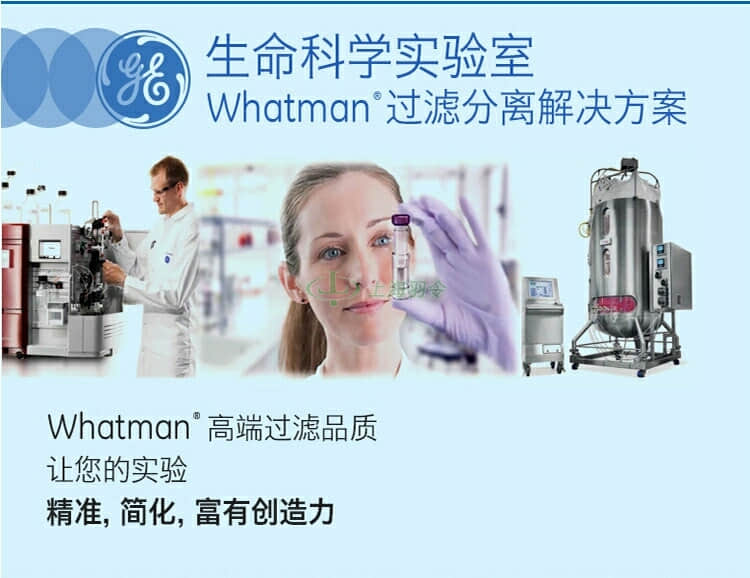 GE,whatman,沃特曼