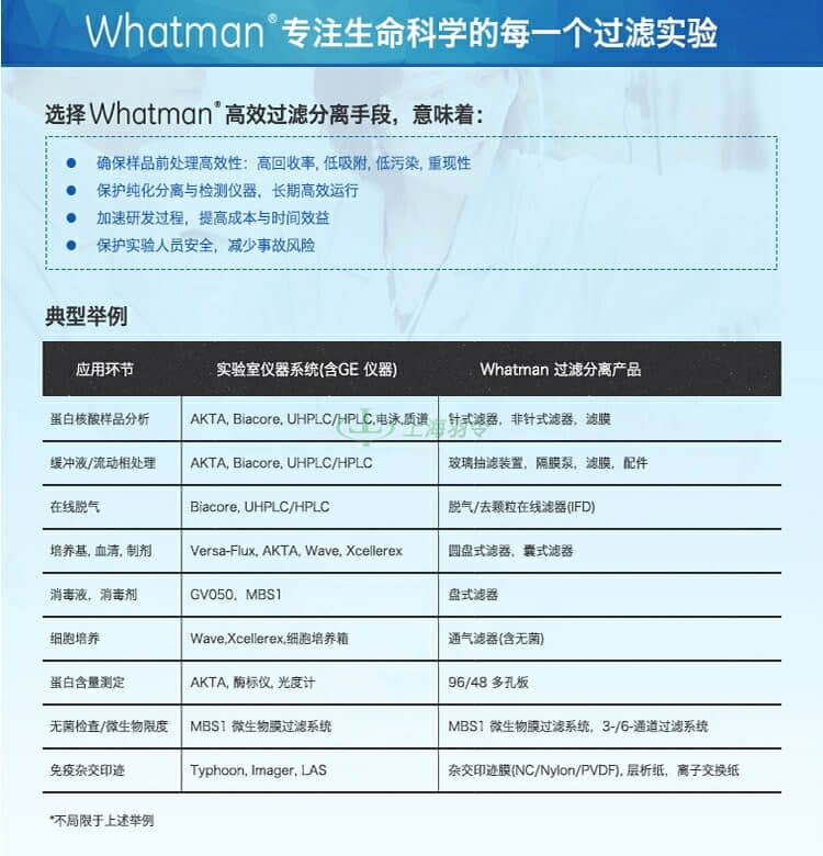 GE,whatman,沃特曼