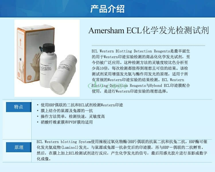 GE,whatman,沃特曼