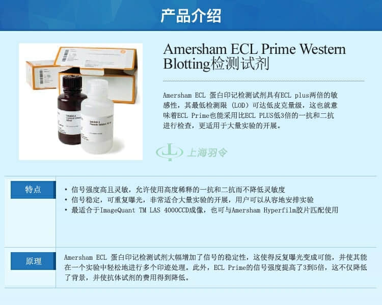 GE,whatman,沃特曼