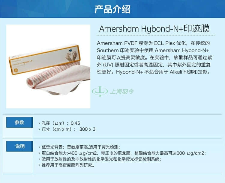 GE,whatman,沃特曼