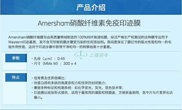 GE,whatman,沃特曼