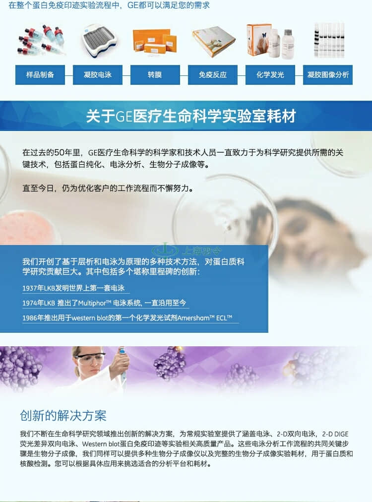 GE,whatman,沃特曼