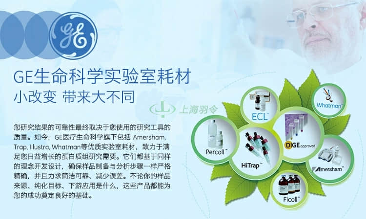 GE,whatman,沃特曼