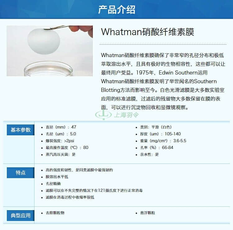 GE,whatman,沃特曼