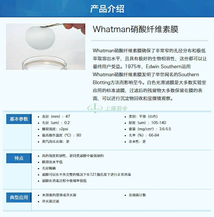 GE,whatman,沃特曼