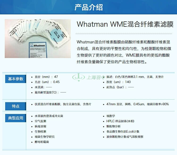 GE,whatman,沃特曼