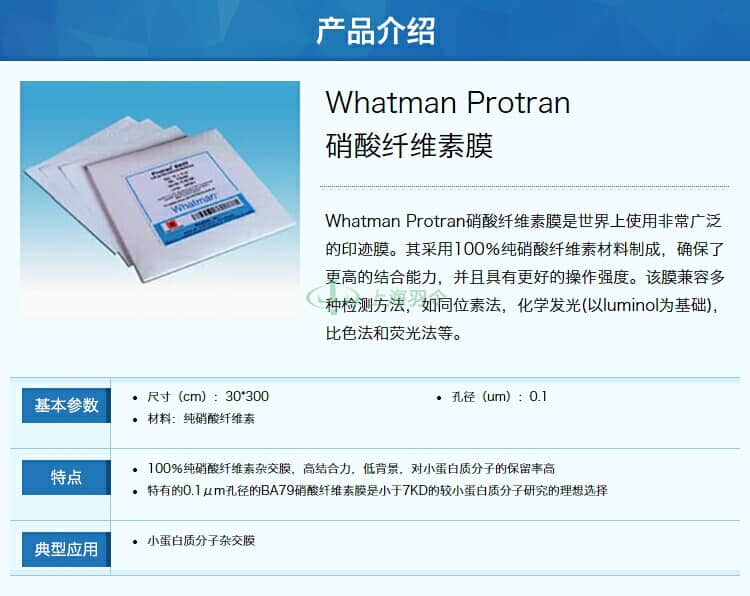 GE,whatman,沃特曼