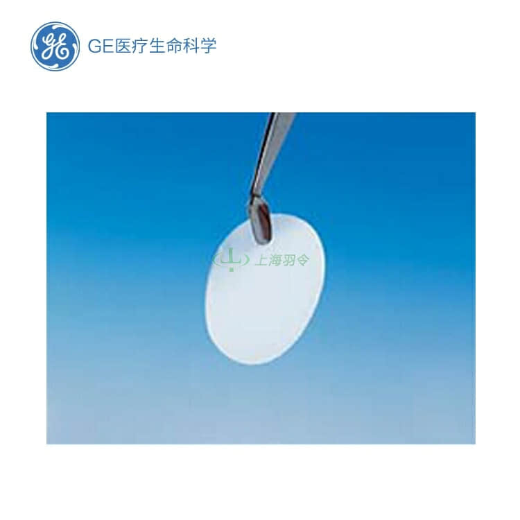GE,whatman,沃特曼