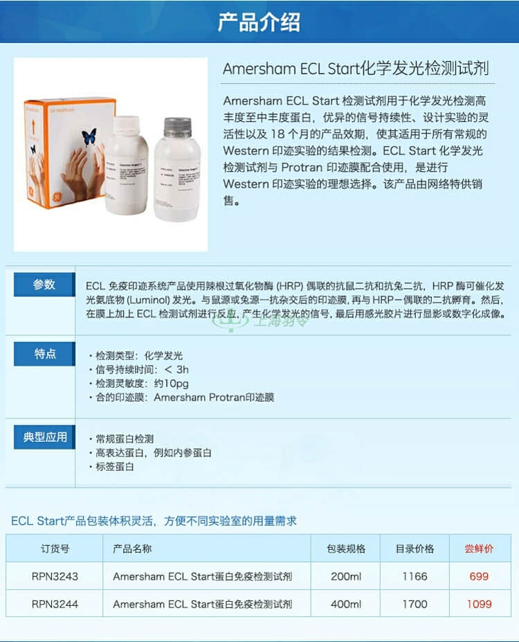 GE,whatman,沃特曼